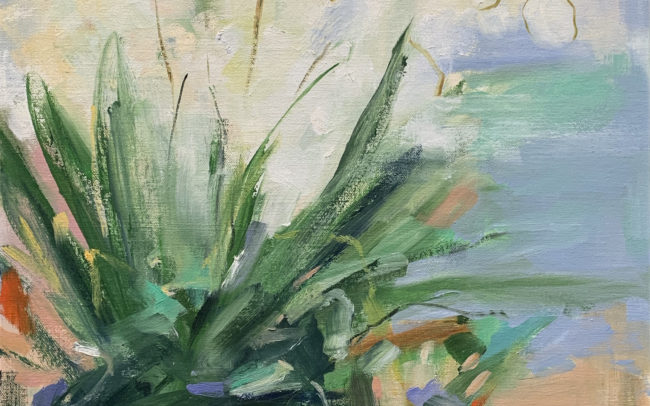 New Mexico Yucca Flower (2020) - Oil on Canvas Panel - 12 x 12 inches